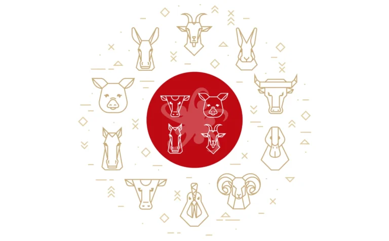 XYLEXX 20 mg/ml SOLUCIÓN INYECTABLE PARA BOVINOS, CABALLOS, PERROS Y GATOS