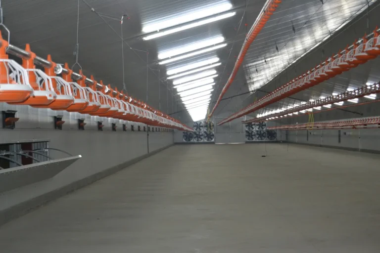 Nave avícola equipada por Cerama Instalaciones