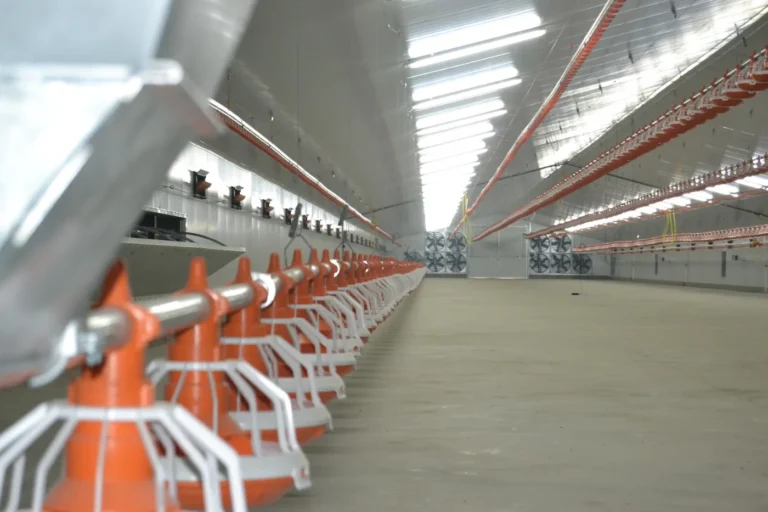 Nave avícola equipada por Cerama Instalaciones