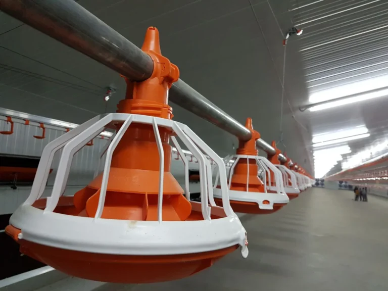 Nave avícola equipada por Cerama Instalaciones