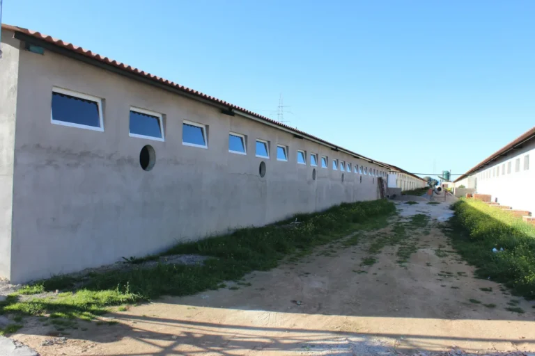 Equipamiento eficiente en una granja porcina