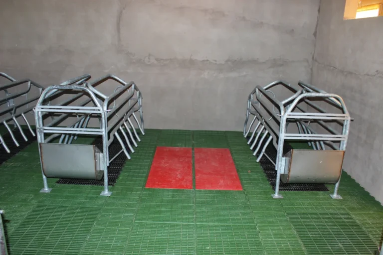 Equipamiento eficiente en una granja porcina