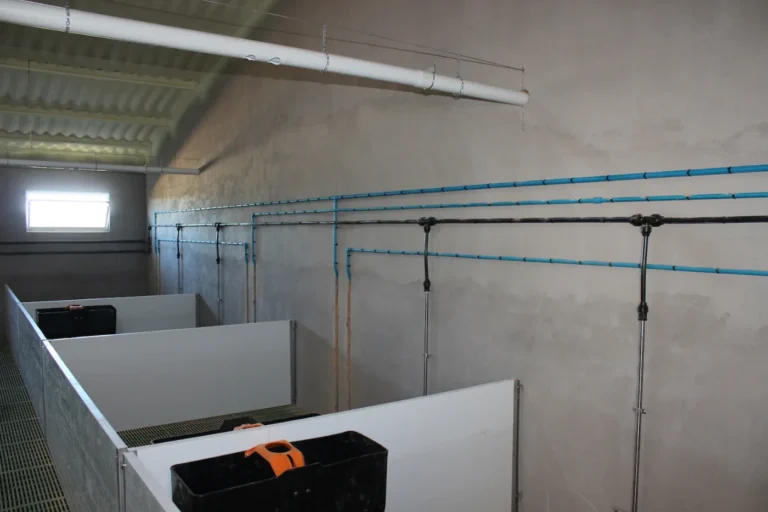 Equipamiento eficiente en una granja porcina